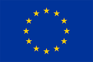 Flaga UE - żółte gwiazdy w okręgu na granatowym tle